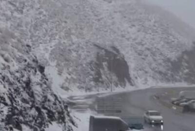 فیلم/ بارش برف در جاده چالوس