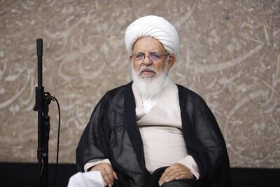  آیت‌الله ناصری: اسراف برق در ادارات و مراکز تجاری متوقف شود