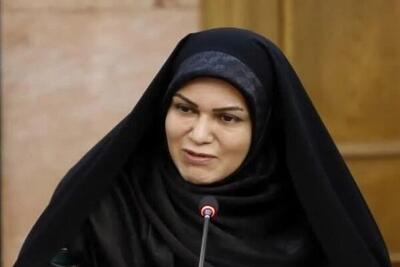 خدادادی: کاهش بودجه فرهنگ  باعث تضعیف نفوذ نرم بین‌المللی خواهد شد