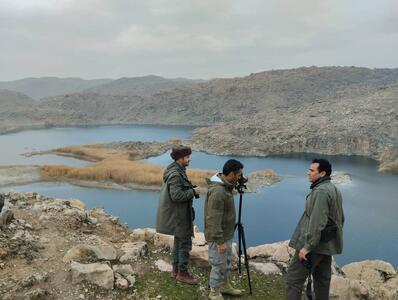  زندی:آغاز سرشماری زمستانه پستانداران در زیستگاه‌های کردستان