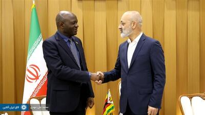 گزارش تصویری | دیدار قائم مقام وزارت خارجه و تجارت بین الملل زیمباوه با نایب رئیس اتاق ایران