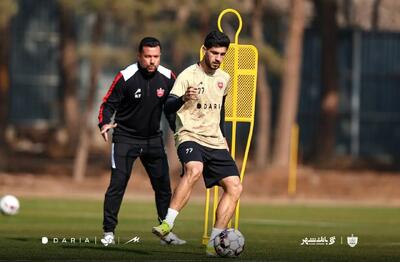 جانشین سروش رفیعی در پرسپولیس مشخص شد - پارس فوتبال