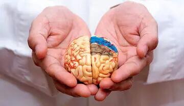  دانشمندان جانز هاپکینز: آلزایمر با بوی گندیده مهار می‌شود