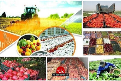 فراز و فرود قیمت ها در بازار تره بار و خشکبار