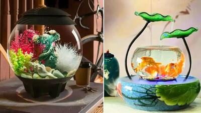 چگونه آکواریوم مدل مینی شیشه‌ ای را با گیاهان آپارتمانی ست کنیم؟ / 15 روش جذاب