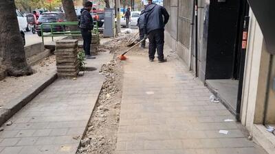 آبیاری قطره ای درختان توسط شهرداری تهران ، به خیابان های ولیعصر و شریعتی رسید + فیلم