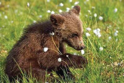 کاشکی اونو می‌بستین!