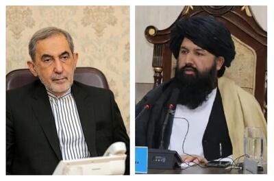  وزیر تحصیلات عالی افغانستان به دیدار علی‌اکبر ولایتی رفت
