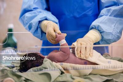 رشد ۷ برابری تجرد قطعی در کشور | آمار‌های شوکه‌کننده از کاهش ازدواج و فرزندآوری