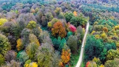 میراث طبیعی هیرکانی در معرض تهدید