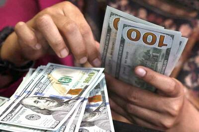 مصوبه دولت بازار ارز را به هم ریخت | سیاست روز