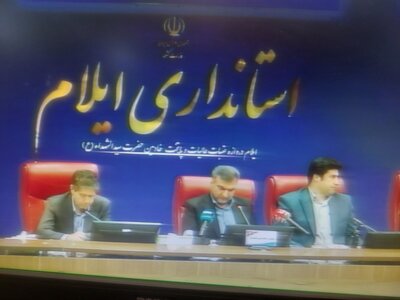  بانوان کارآفرین موتور محرک توسعه اقتصادی ایلام / ۲۸۰۰ میلیارد تومان تسهیلات در دسترس بانوان اشتغال‌جو