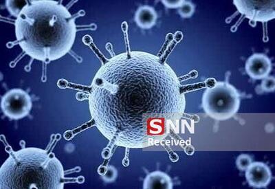  تب ابتلا به بیماری‌های تنفسی در خراسان جنوبی فروکش کرد