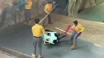  در پارک سافاری هانگژو چین، یک خرس سیاه به طور غیرمنتظره‌ای در طول نمایش به نگهبان خود حمله کرد