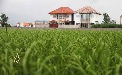  آزاد سازی ۴۱۵ هکتار از اراضی کشاورزی در کرج