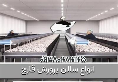 خرید کمپوست باکیفیت و آموزش حرفه‌ای پرورش قارچ از قارچ روم - از شروع تا برداشت با شما هستیم - تسنیم