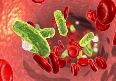 نهج حیات| توصیه امام علی برای مواجهه با بیماری - تسنیم