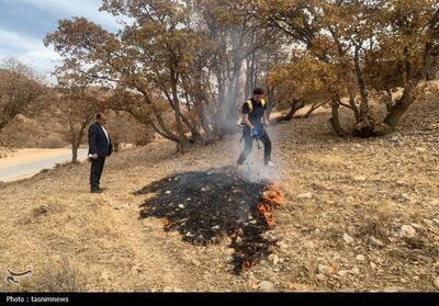 رهان، ابداع یک جوان کهگیلویه و بویراحمدی برای نجات جنگل‌ها از شعله‌های آتش - تسنیم