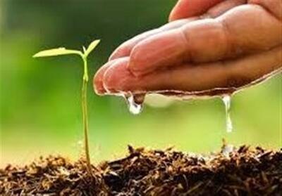 یادداشت|خاک؛ حلقه گمشده مدیریت آب در ایران - تسنیم