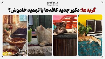 ‌گربه‌ها؛ دکور جدید کافه‌ها یا تهدید خاموش؟