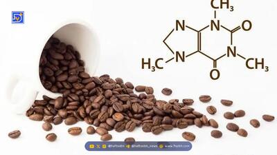  نکته مهم درباره کافئین که تا الان نشنیده بودید