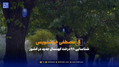  شناسایی 98 درخت کهنسال جدید در کشور