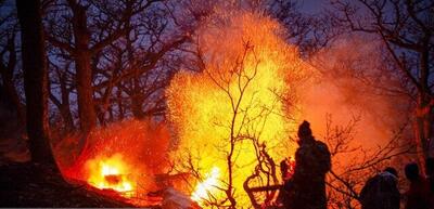 بلیت کنسرت دوباره گران شد