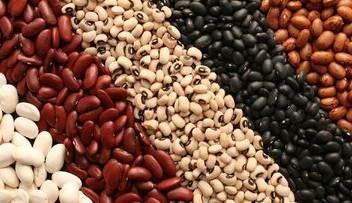 تصمیم جدید دولت برای بازار حبوبات