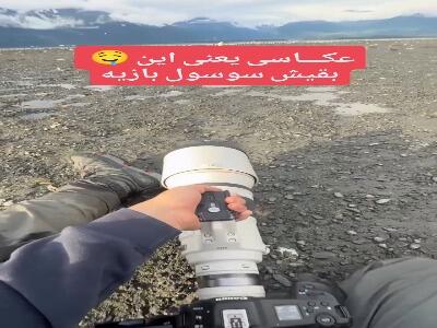  تصاویر ، راهی برای ورود به دنیای حیات وحش