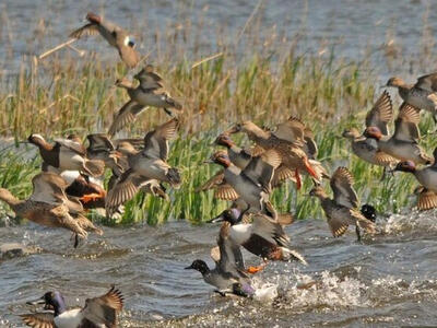 آذربایجان غربی؛ اکوتوریسم فراموش شده؟!