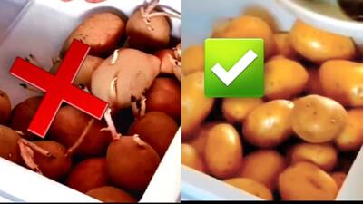  روش طبیعی برای جلوگیری از جوانه زدن سیب زمینی / ایده ها و ترفندهای نوآورانه خانه