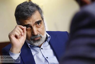 سخنگوی سازمان انرژی اتمی: می‌خواهیم با آژانس همکاری می‌کنیم اما واقعاً با وضعیتی پیچیده مواجه هستیم