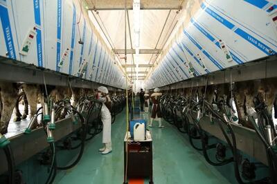 پافشاری بانک مرکزی بر سیاست‌های انقباضی