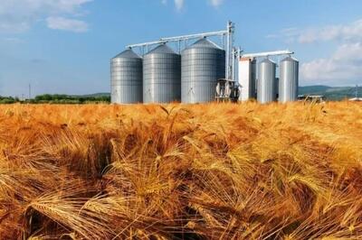 وزارت جهاد به‌تنهایی توان حفظ امنیت غذایی ندارد؛ ۴ دستگاه دیگر هم مسئولند