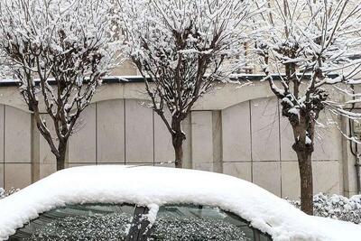 ببینید/ برف جاده سقز-مریوان را سفیدپوش کرد