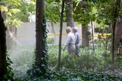 زمان ثبت نام وام 50 میلیون تومانی بازنشستگان تامین اجتماعی اعلام شد+شرایط دریافت وام