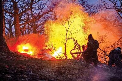 تخریب ۱۰ هکتار پوشش گیاهی در پی آتش‌سوزی جنگل‌های الیت/ وضعیت هشدار برای نجات سرمایه‌های طبیعی
