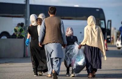  هشدار جدی جمهوری اسلامی درباره اتباع غیرمجاز: امنیت کشور در خطر است!
