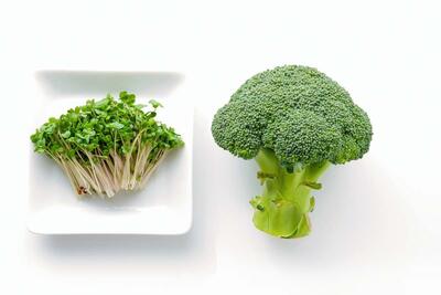  قدرت ضدالتهابی جوانه بروکلی، سوپرفود کوچک با قدرت بزرگ!