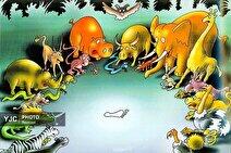 گره دلار، طلا و سایه جنگ