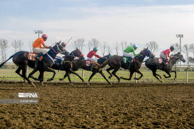 ۲۰۱ اسب آماده تاخت در هفته پنجم کورس گنبدکاووس