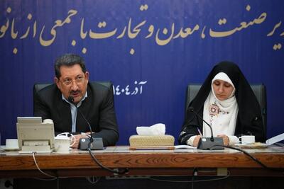 حضور زنان در رده های بالای کارآفرینی تقویت کننده بخش صنعتی است