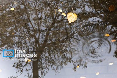 کسری ۴۰ میلی‌متری بارندگی/ بارش‌های پیش‌ِرو جبران‌کننده نیستند