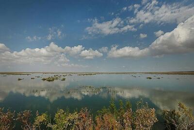 تالاب بندعلیخان خشک شد