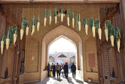  برگزاری چهارمین جشنواره زردک خرانق همزمان با آغاز فصل برداشت