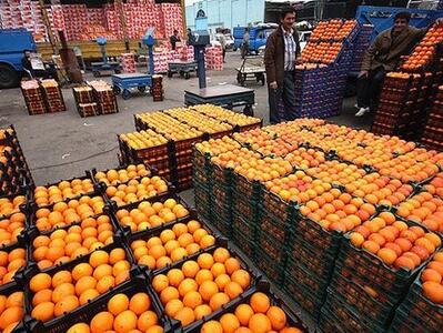  از تامین میوه شب عید تا آمادگی برای خرید محصولات کشت پاییزه
