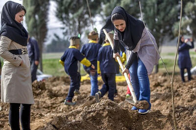  مدیرکل منابع طبیعی و آبخیزداری استان: ۲۰۰۰ نهال به نام و یاد مادران همدانی غرس می‌شود