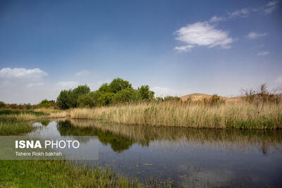  آبگیری دوباره تالاب کانی‌برازان مهاباد