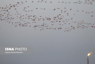  وضعیت «قرمز» هوا در ۶ شهر خوزستان