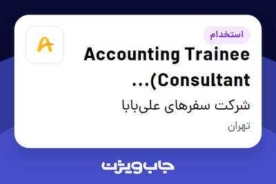  استخدام Accounting Trainee (Consultant Contract) در شرکت سفرهای علی‌بابا